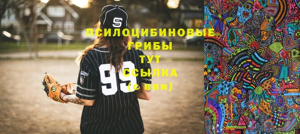 прущие крисы Белоозёрский