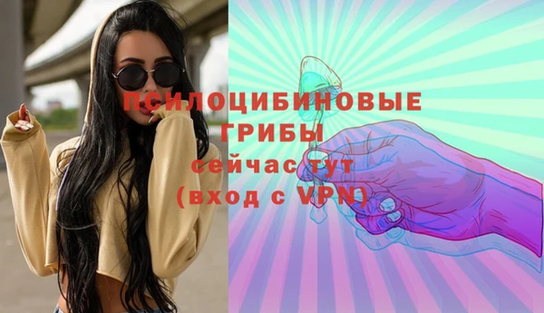 винт Алексеевка