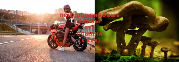 прущие крисы Белоозёрский