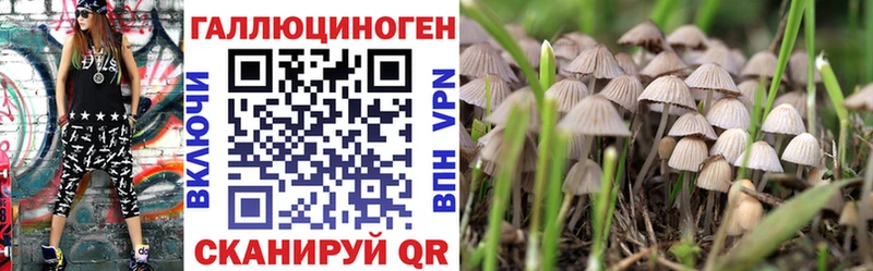 мориарти как зайти  Красный Кут  Псилоцибиновые грибы Magic Shrooms 